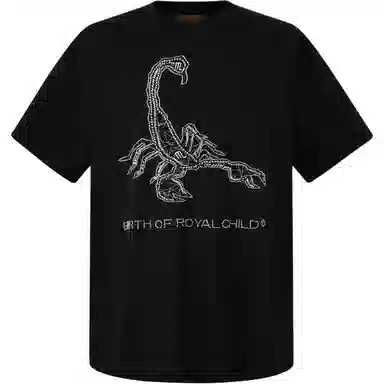 BIRTH OF ROYAL CHILD SS25 T