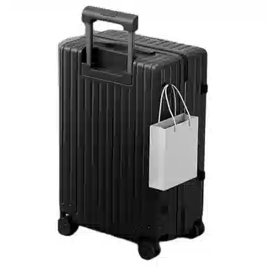 SEA LION PC 2024262228