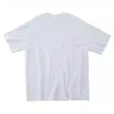 SANTASTIC T