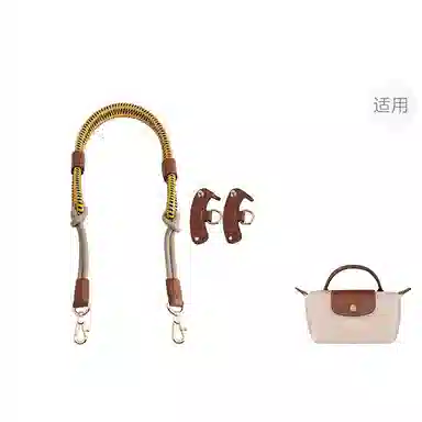 Longchamp Mini Bag Strap