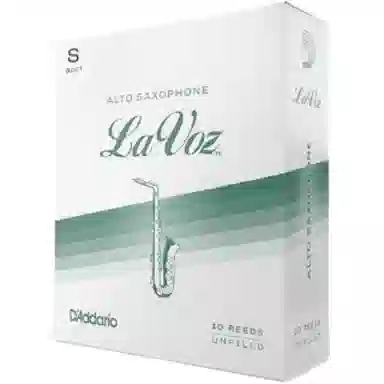 D'Addario LaVoz. Rico