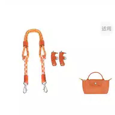 Longchamp Mini Bag Strap