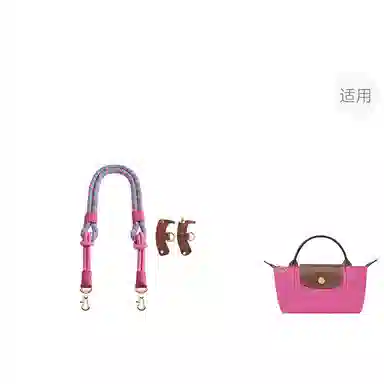 Longchamp Mini Bag Strap