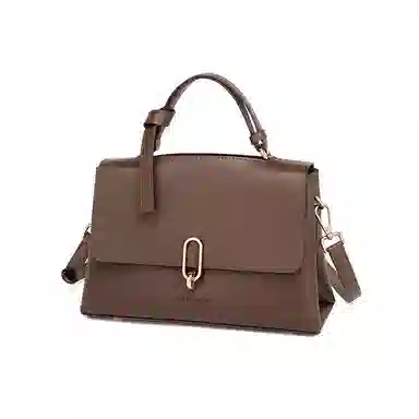 红蜻蜓 高级感小众时尚潮流品牌高颜值 牛皮 单肩斜挎手提包 常规 女款 黑色/咖啡色