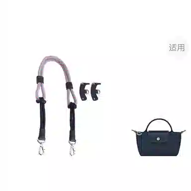 Longchamp Mini Bag Strap