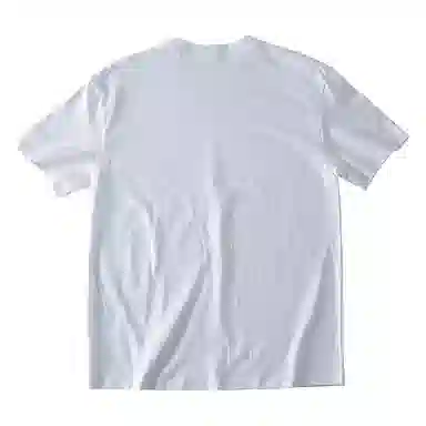 SANTASTIC T