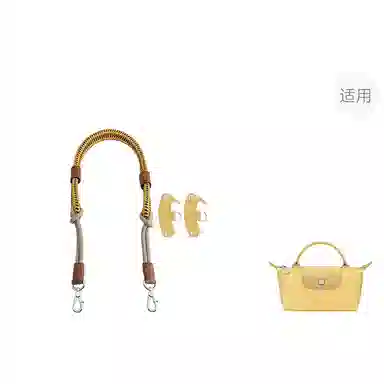 Longchamp Mini Bag Strap