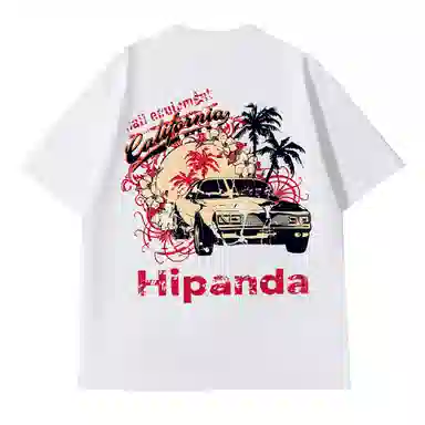 HIPANDA LogoT