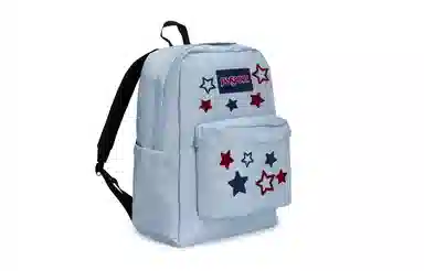 JanSport 811