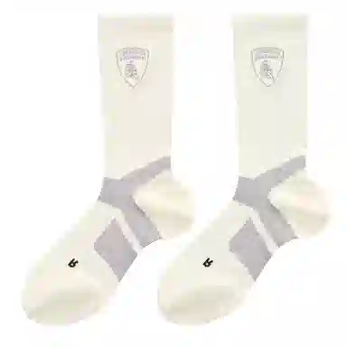 Automobili Lamborghini