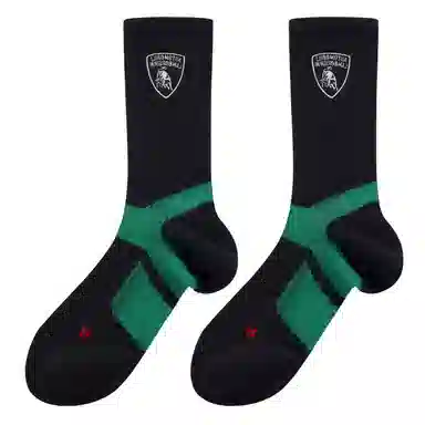 Automobili Lamborghini