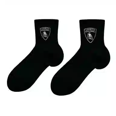 Automobili Lamborghini