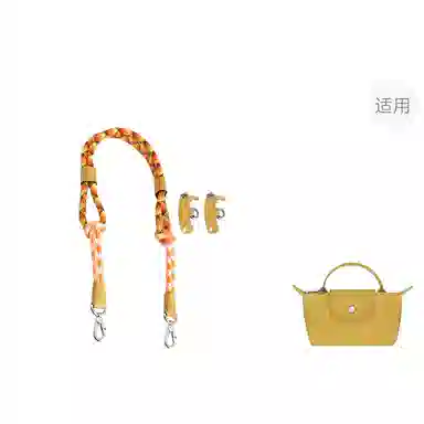 Longchamp Mini Bag Strap