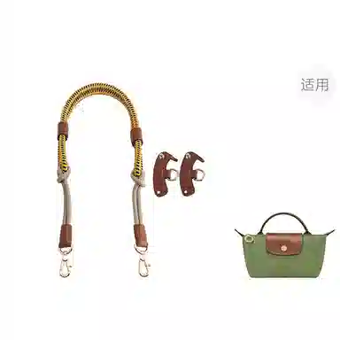 Longchamp Mini Bag Strap
