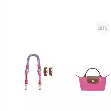 Longchamp Mini Bag Strap