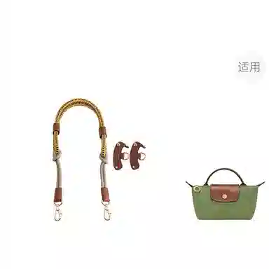 Longchamp Mini Bag Strap