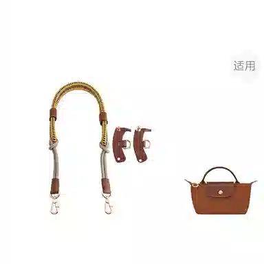 Longchamp Mini Bag Strap