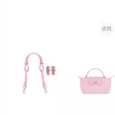 Longchamp Mini Bag Strap