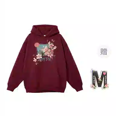 棉购 连帽加绒加厚百搭时尚个性韩版潮流休闲印花图案卫衣 女款