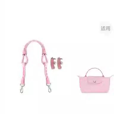 Longchamp Mini Bag Strap