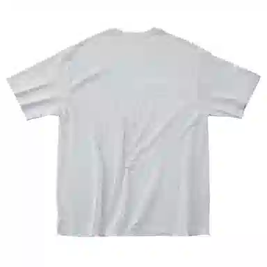 SANTASTIC T