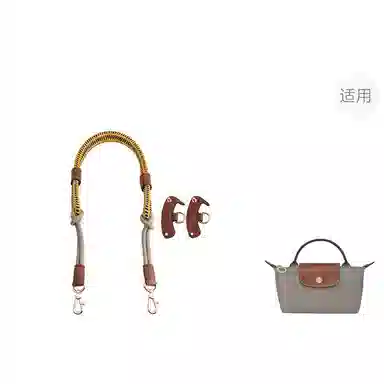 Longchamp Mini Bag Strap