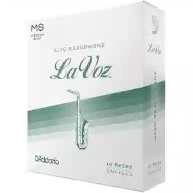 D'Addario LaVoz. Rico