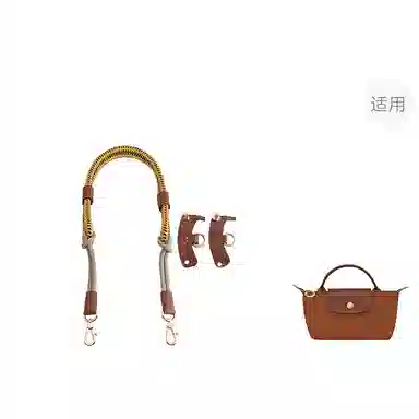Longchamp Mini Bag Strap