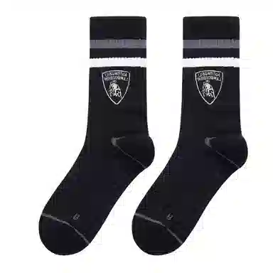 Automobili Lamborghini