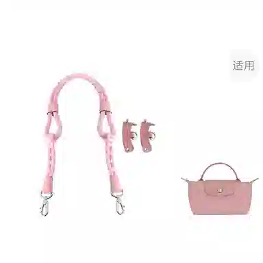 Longchamp Mini Bag Strap