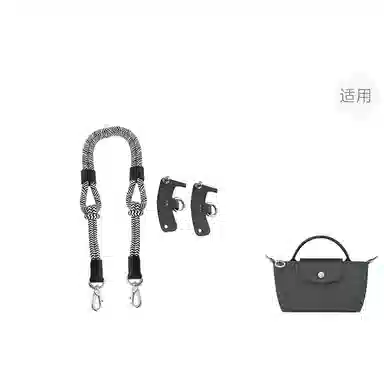 Longchamp Mini Bag Strap