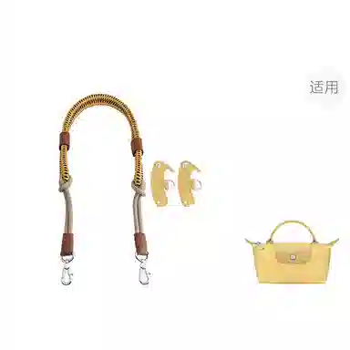 Longchamp Mini Bag Strap