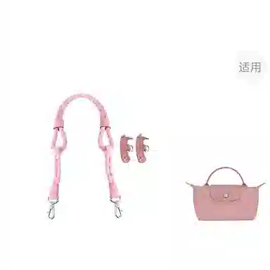 Longchamp Mini Bag Strap