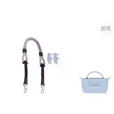 Longchamp Mini Bag Strap