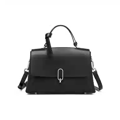 红蜻蜓 高级感小众时尚潮流品牌高颜值 牛皮 单肩斜挎手提包 常规 女款 黑色/咖啡色