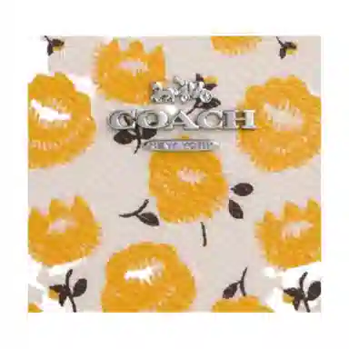 COACH Snap Wallet 10