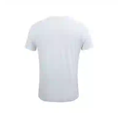 Mizuno PERFORMANCE T