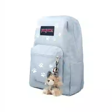 JanSport