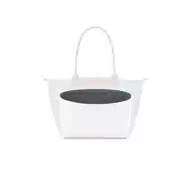 FANJI longchamp
