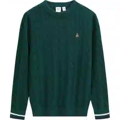 GAP Bear Knit Sweater Kids