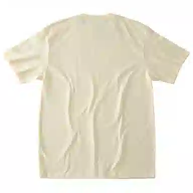 SANTASTIC T