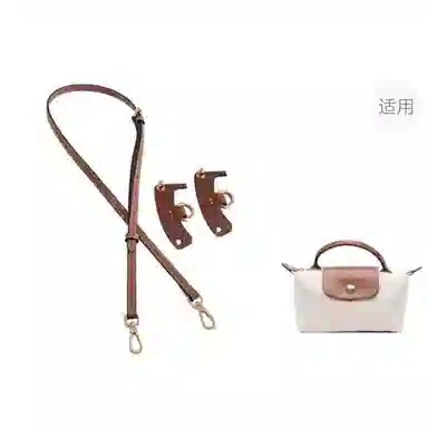 Longchamp Mini Bag