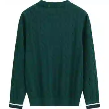 GAP Bear Knit Sweater Kids