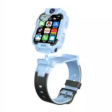 PALMHANG app APP