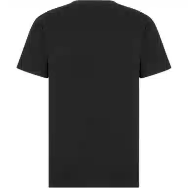 DIOR FW25 T