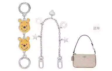 Disney coachnolita19 diy