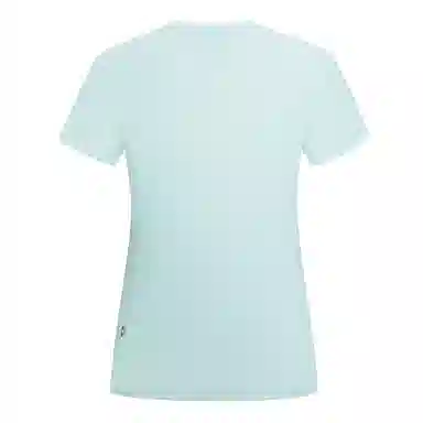 NORTHLAND PROFESSIONAL T