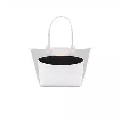 FANJI longchamp