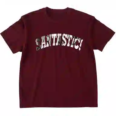 SANTASTIC T