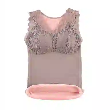 ALPLUME V